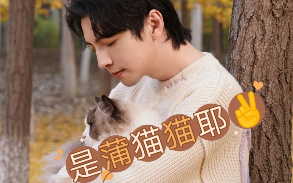 进入【蒲熠星】蒲猫猫的梦里