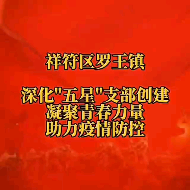 祥符区罗王镇青年志愿者,一袭红马甲、一颗火热心,冲锋在前、逆行出征,让志愿服务精神在疫情防控一线绽放光芒,助力家乡“五星”支部星光闪.哔...