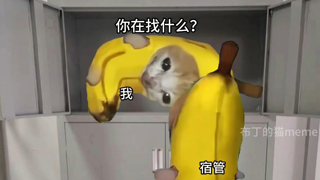 高中时和宿管斗智斗勇（三）