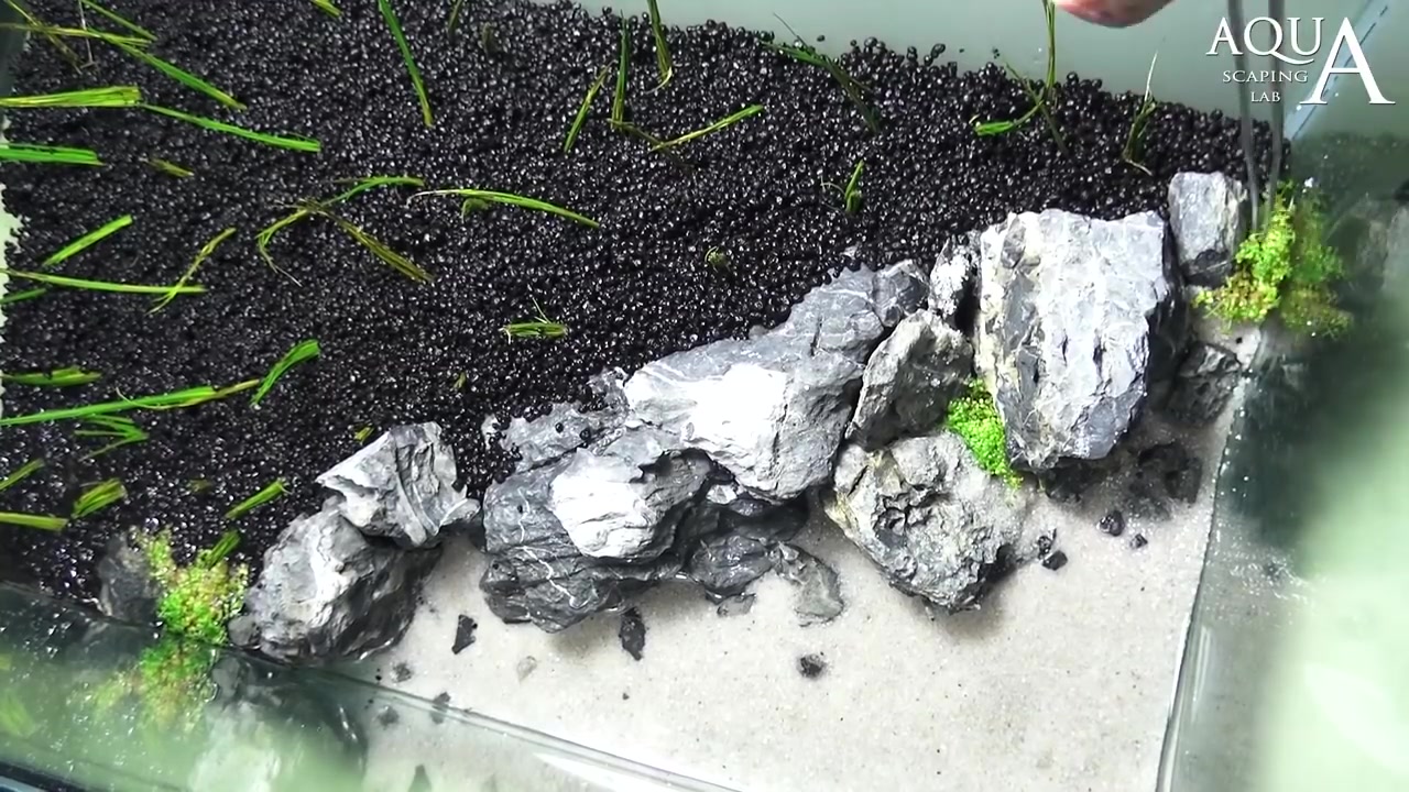 热带海岛沙滩风格水草造景鱼缸教程!创意不错,很有画面感!