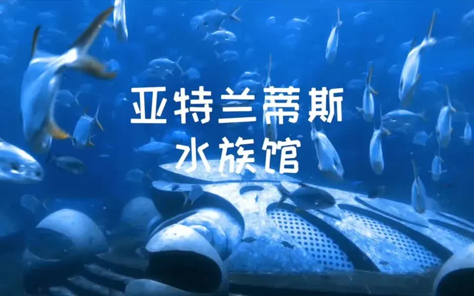 三亚超6星级的亚特兰蒂斯酒店,水族馆实拍,好豪华的鱼缸啊哔哩哔哩bilibili