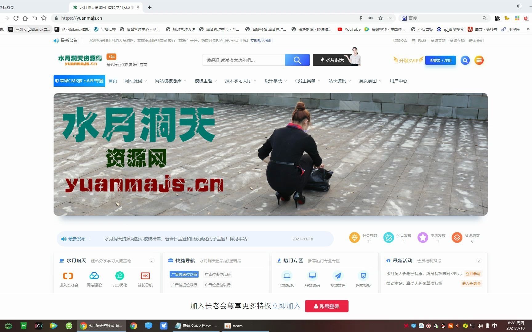 wordpress搬家教程,日主题和极致子主题的各种设置!哔哩哔哩bilibili