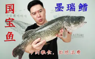 蛇鳕 哔哩哔哩 Bilibili