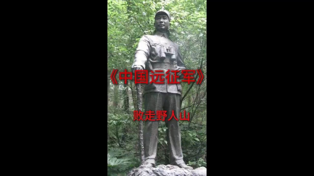 中国远征军,败走野人山,海鸥将军牺牲.哔哩哔哩bilibili