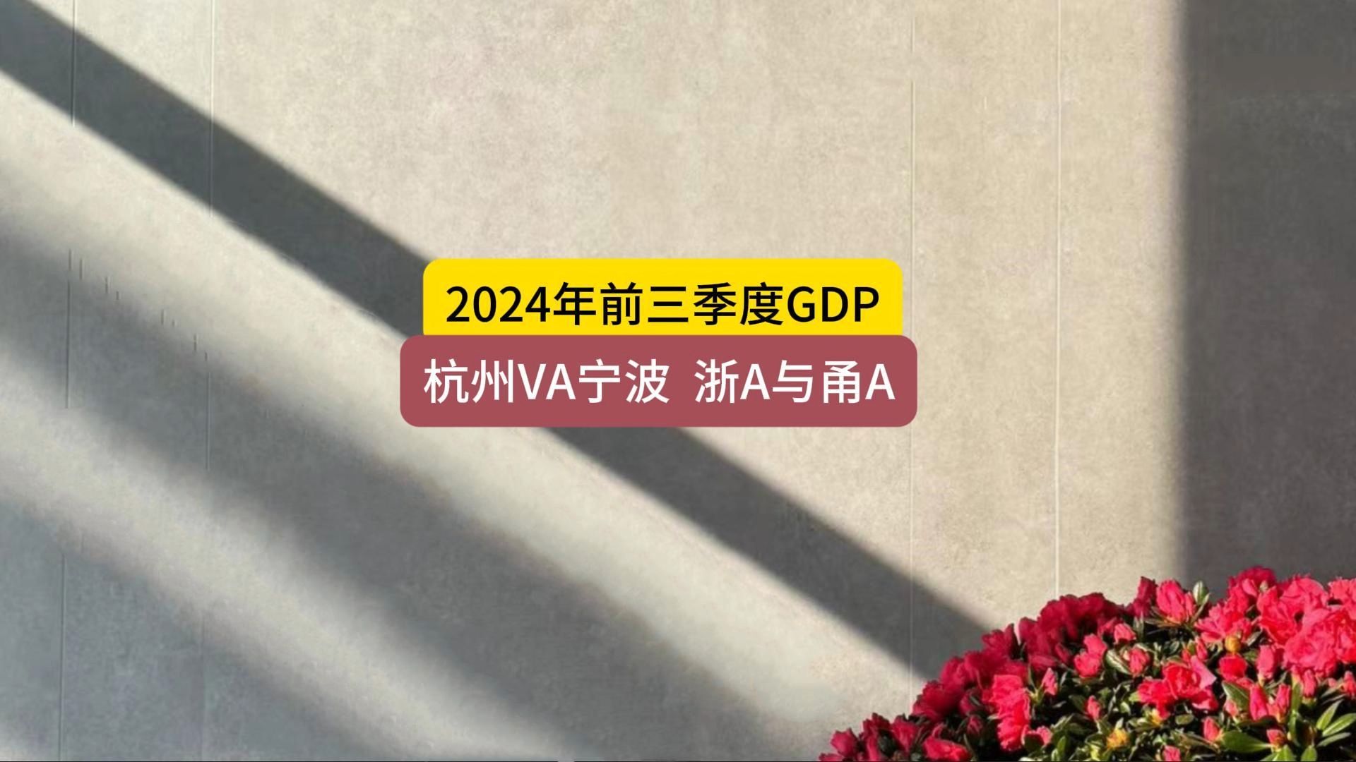 2024年前三季度GDP,杭州VS宁波哔哩哔哩bilibili