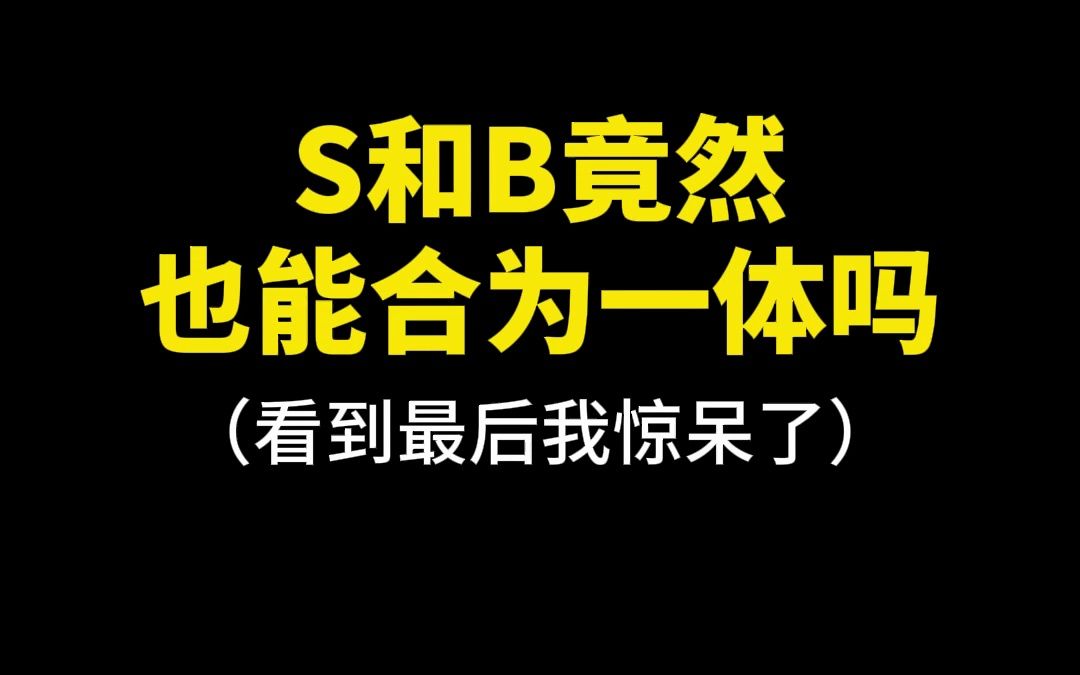 S和B竟然也能合为一体吗哔哩哔哩bilibili