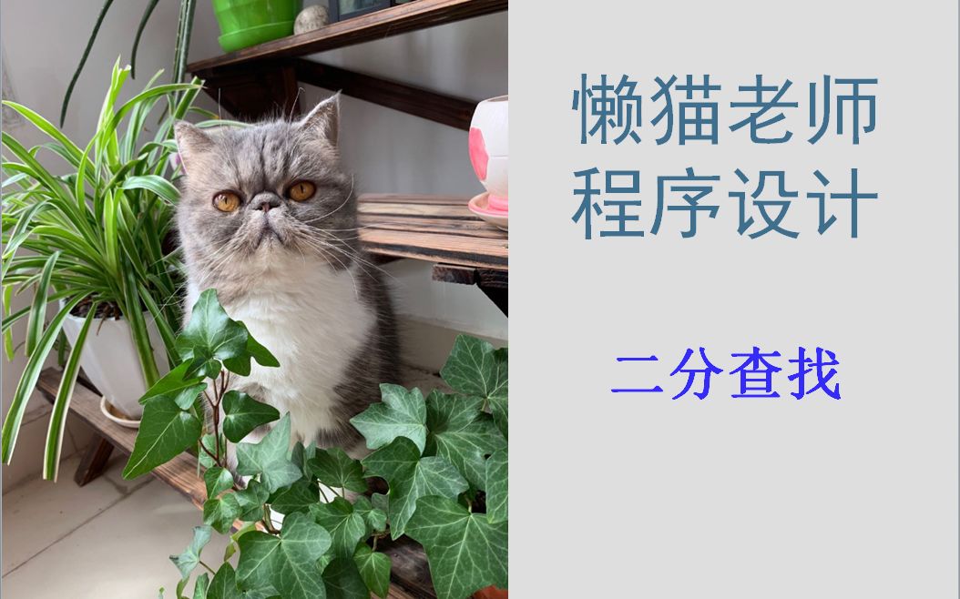 懒猫老师C语言二分查找(折半查找)哔哩哔哩bilibili