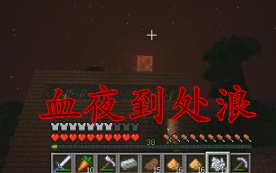 我的世界mite极限生存 第十六期 血夜到处浪