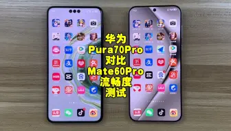 Download Video: 华为Pura70Pro性能测试，麒麟9010和麒麟9000S差距有多大？