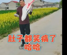 下载视频: 手工制作大型航模飞机哈哈，苏27