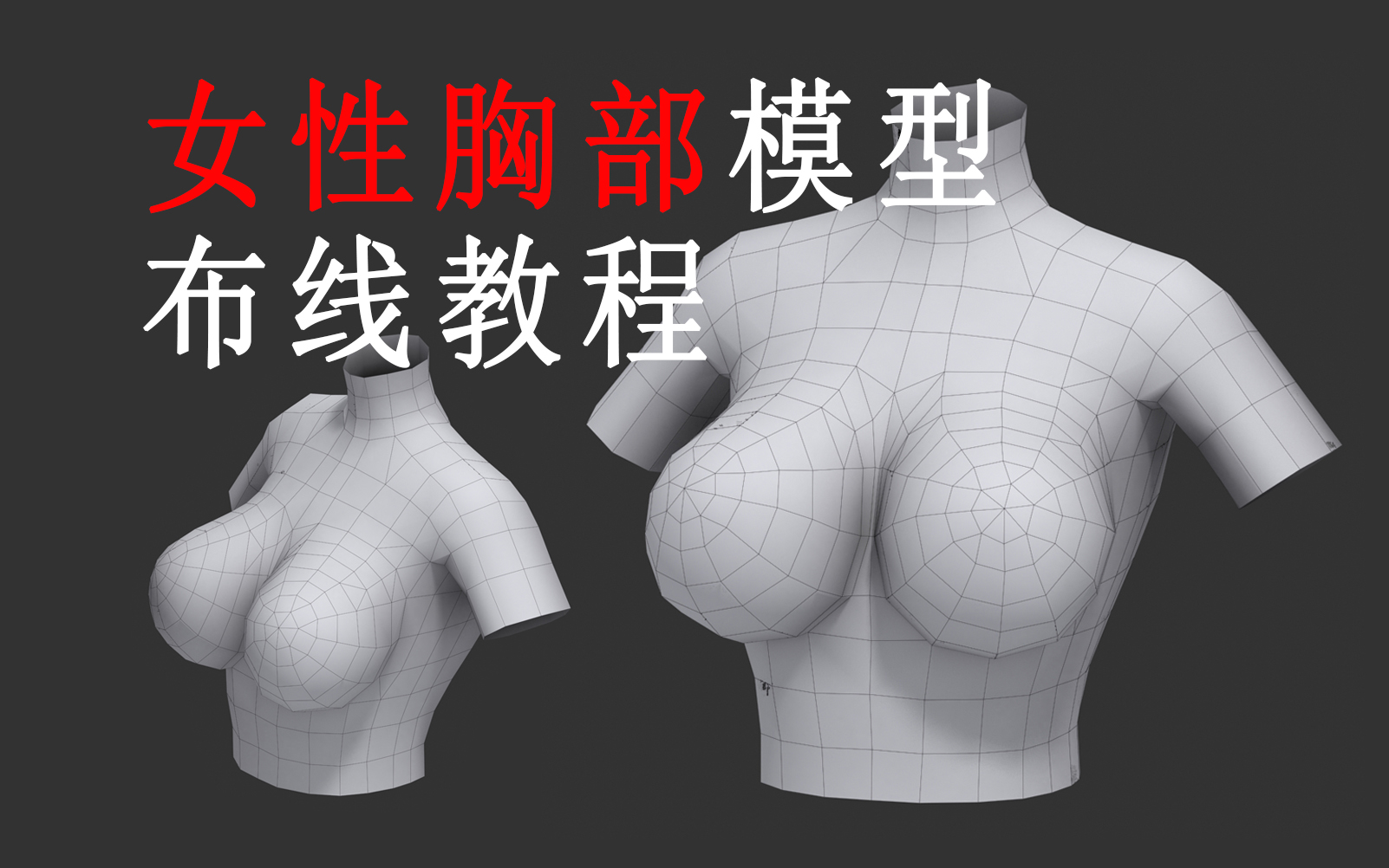 制作胸廓模型图片