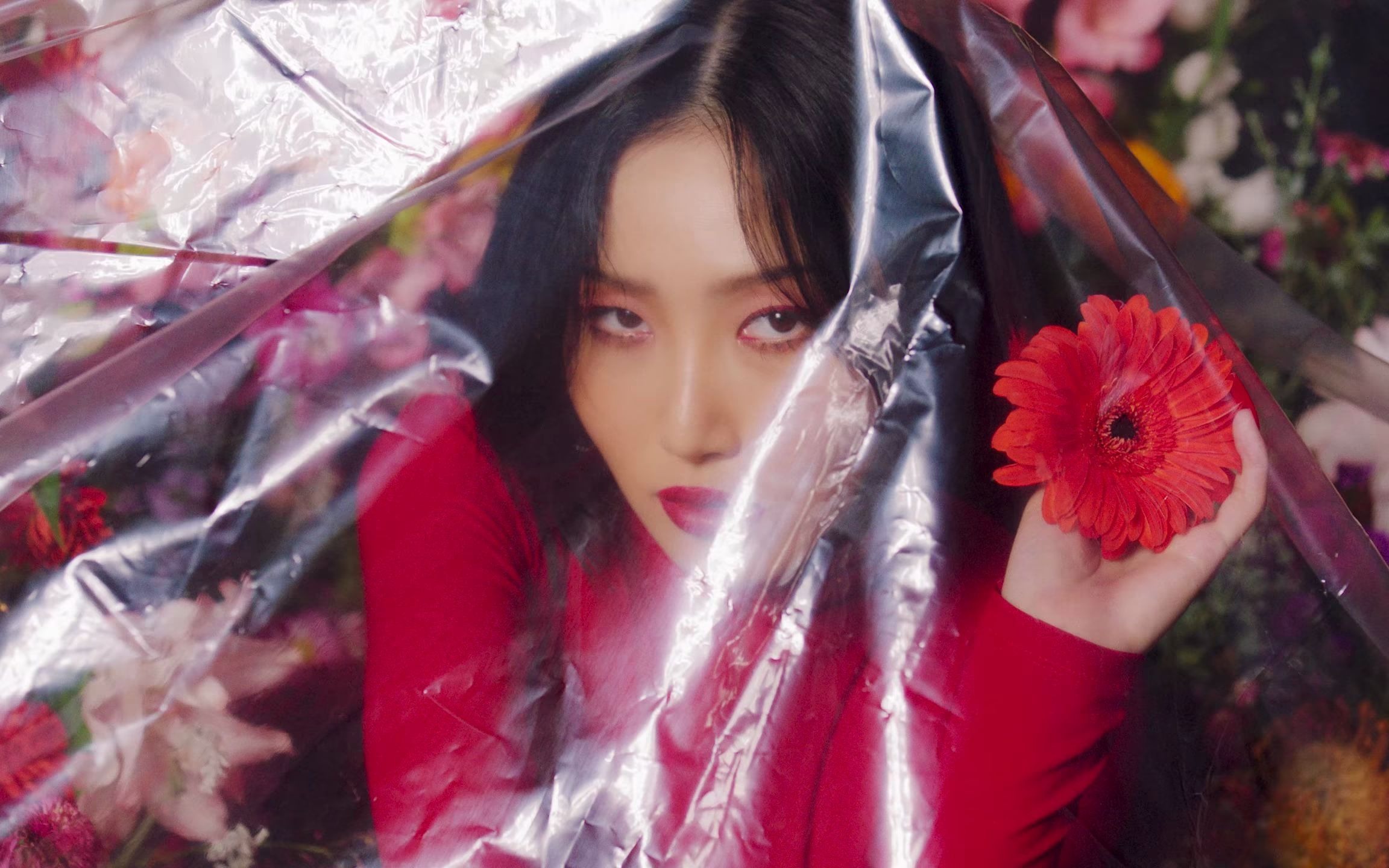 [mv 华莎(hwa sa i'm a b