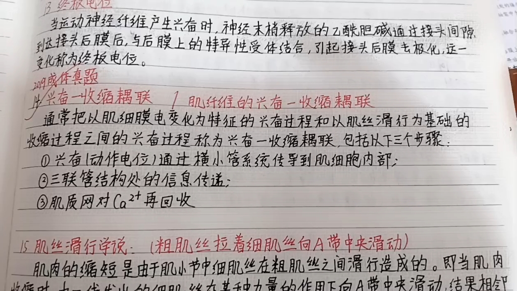 兴奋收缩木耦联/肌纤维的兴奋收缩耦联 2019成体真题哔哩哔哩bilibili