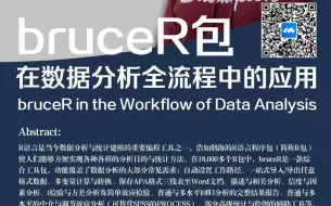 Download Video: bruceR包在数据分析全流程中的应用 包寒吴霜分享