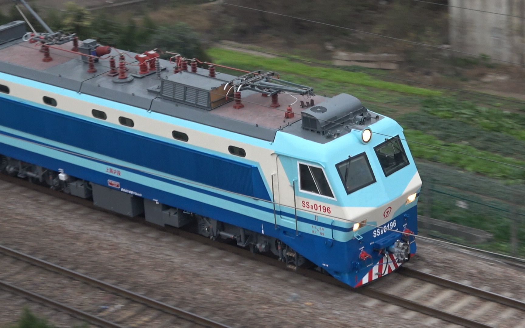 【韶山八】好久不见的196,又一只三代上海色,女少口阿_哔哩哔哩_bili