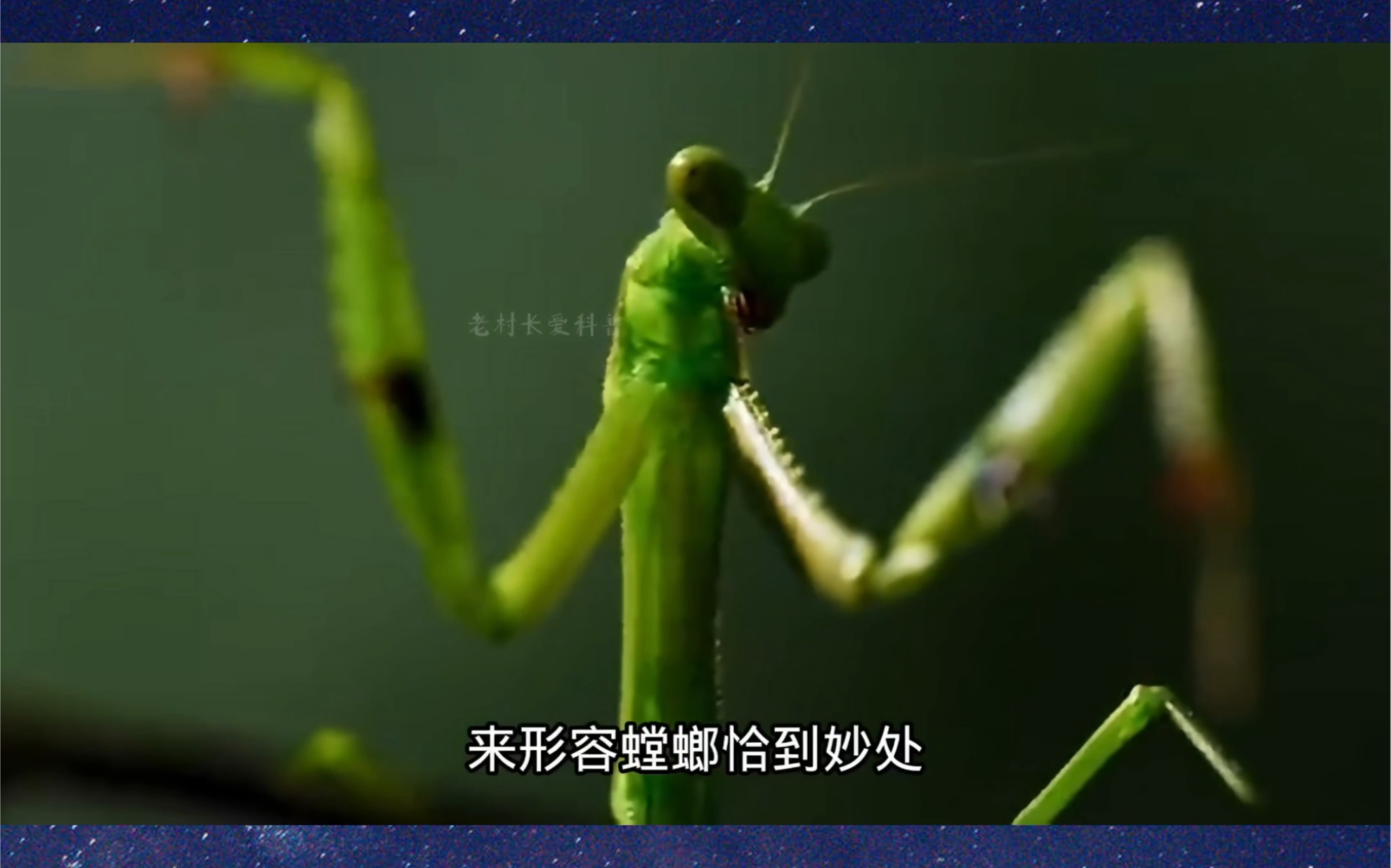 八大无头生物(二)哔哩哔哩bilibili