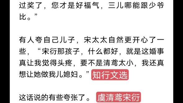 今日爆款(推荐完结纹)《虞清鸢宋衍》又名《宋衍虞清鸢》哔哩哔哩bilibili