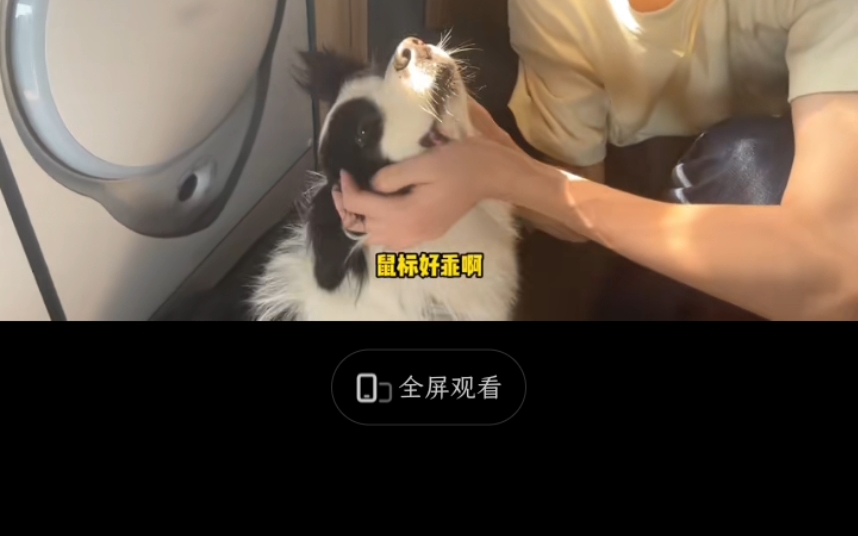 宋亚轩:鼠标的颜值与实力并存