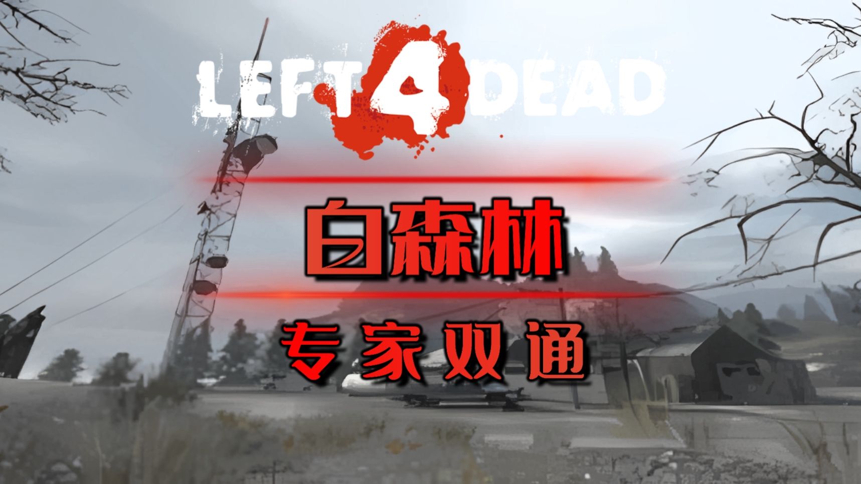 【L4D】1代怀旧专家双通:白森林单机游戏热门视频