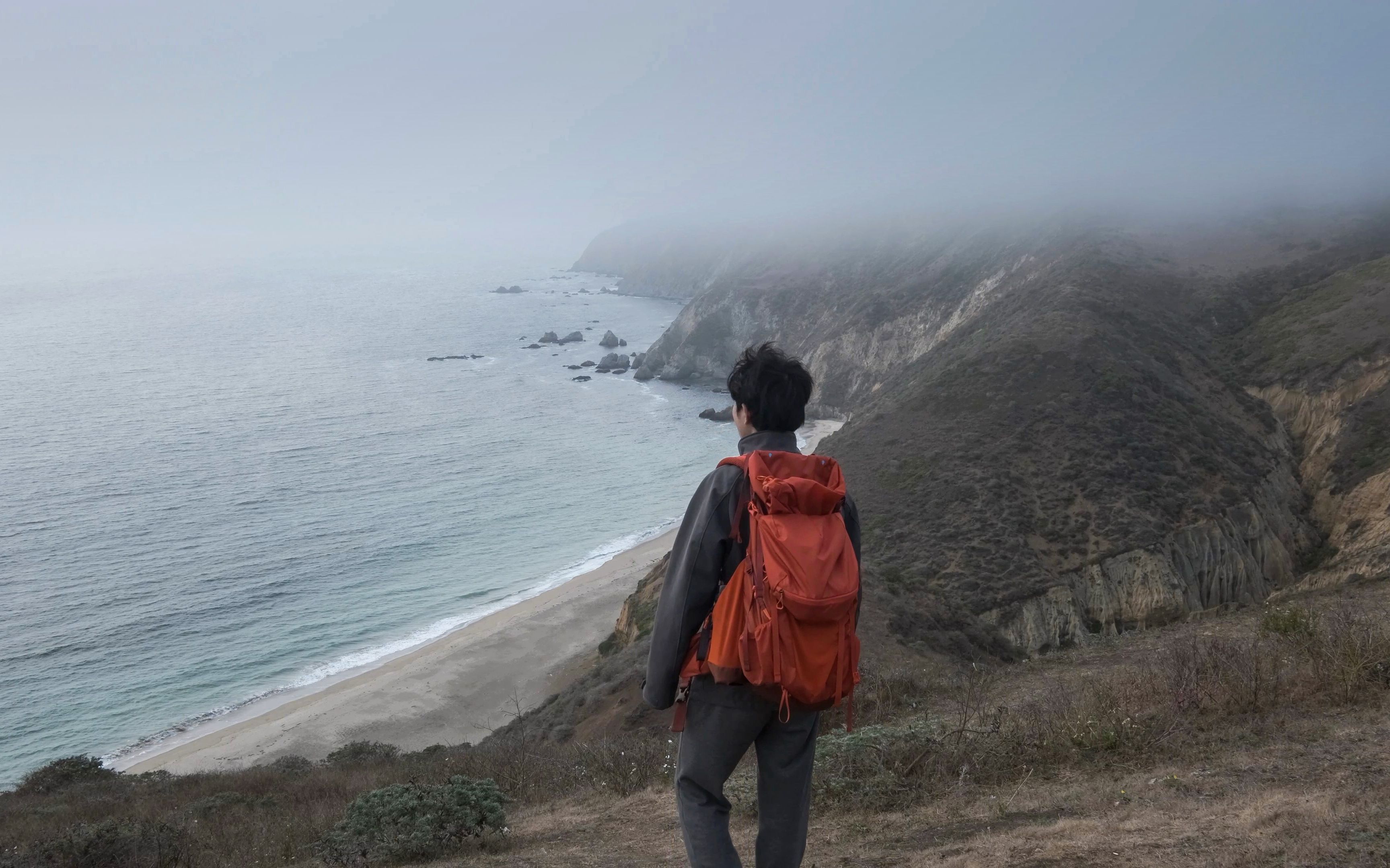 [图]雾中的海岸线徒步 | 雷斯角国家海岸公园 Point Reyes National Seashore | 4K