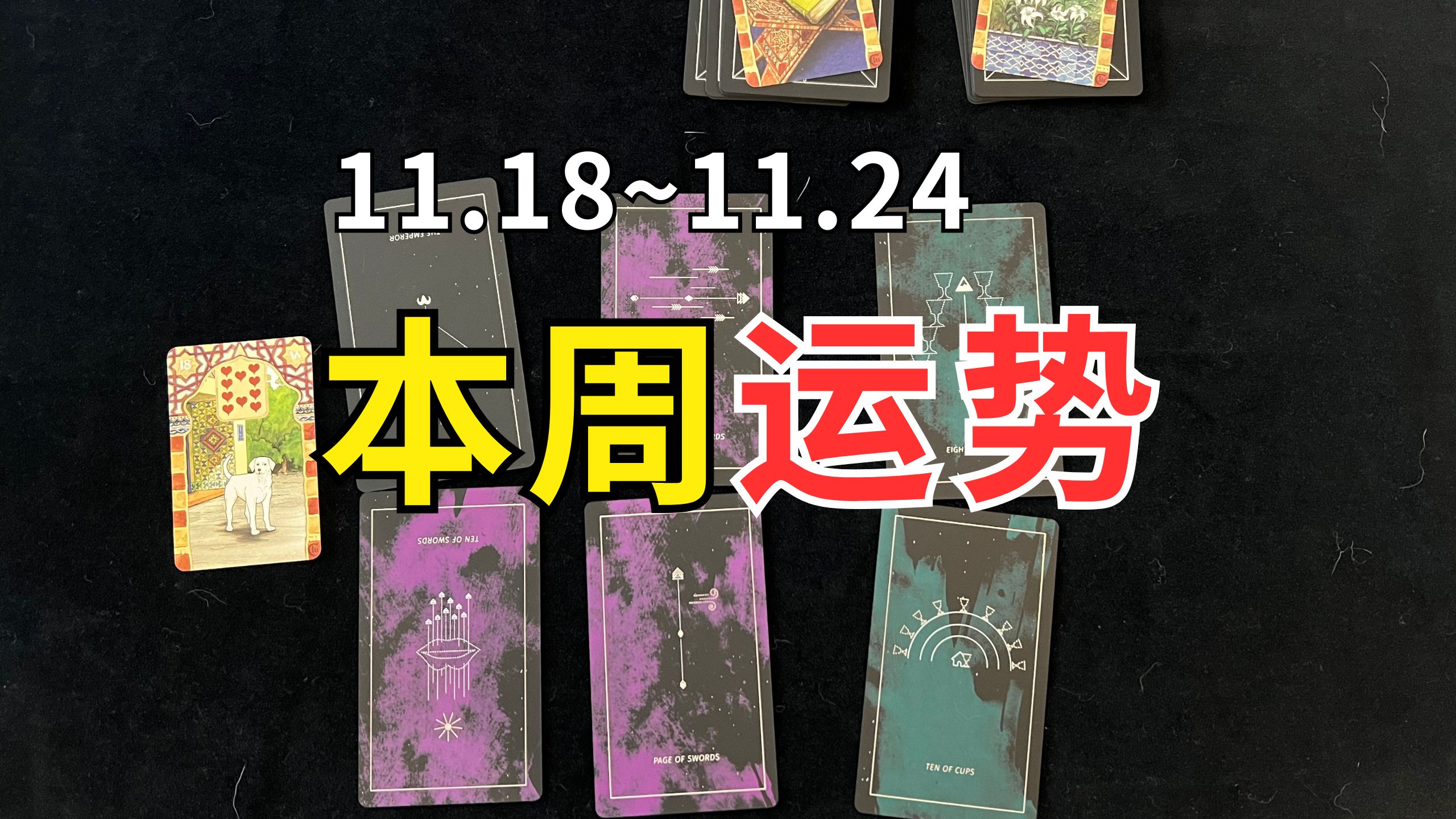 【11.18~11.24一周运势占卜】学业备考 工作 感情 生活 这周会发生什么?哔哩哔哩bilibili