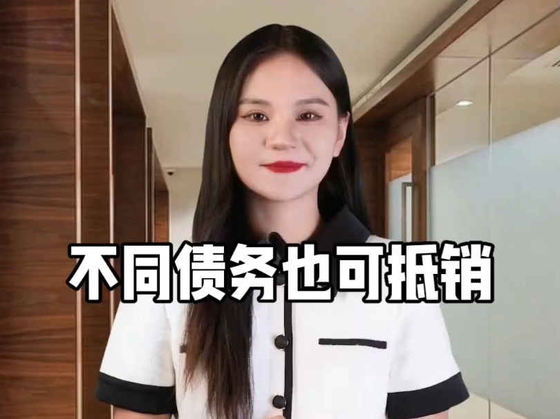 不同债务也可抵销哔哩哔哩bilibili