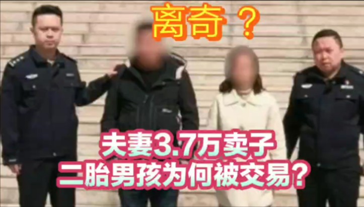 夫妻3.7万卖子,二胎男孩为何被交易?哔哩哔哩bilibili