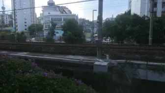 D7109回库