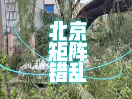 突发北京被挂倒数万棵树(这非常不正常不科学啊矩阵错乱了)哔哩哔哩bilibili