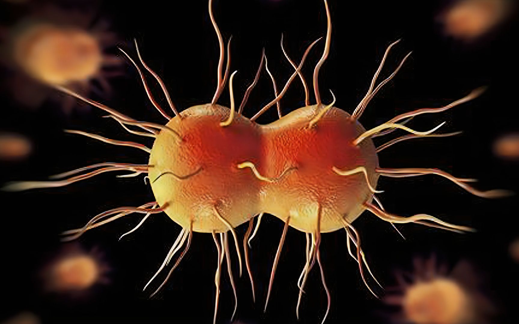 在尼帕病毒面前,新冠病毒就是一个小弟,印度是如何应对疫情