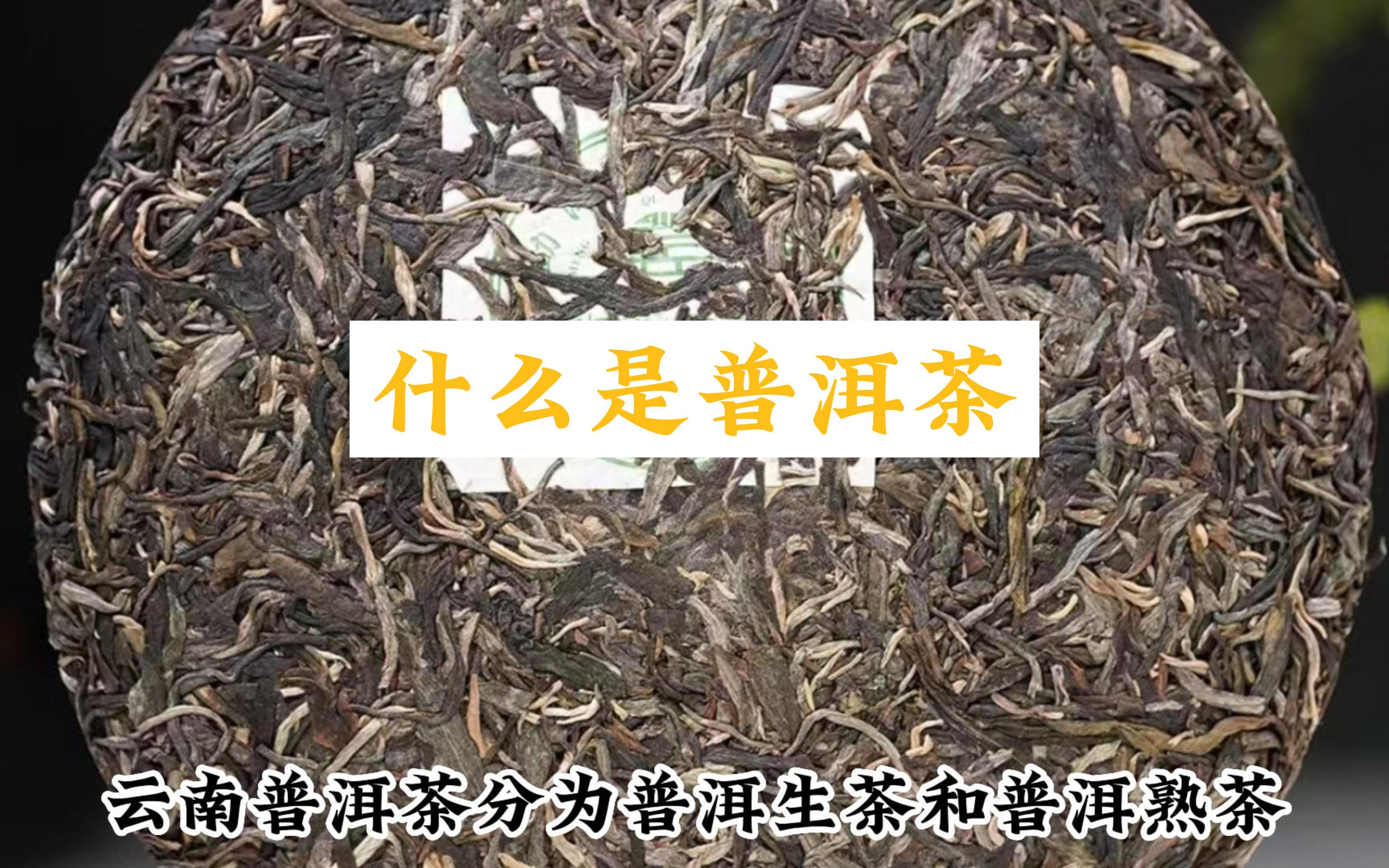 什么是普洱茶?普洱茶是云南的特产茶叶哔哩哔哩bilibili