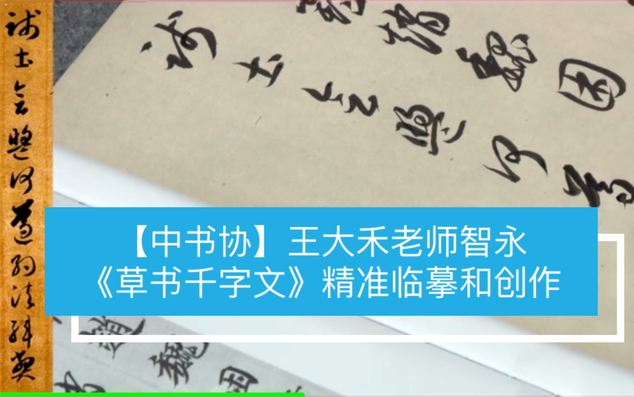 【中书协】王大禾老师智永《草书千字文》精准临摹和创作哔哩哔哩bilibili