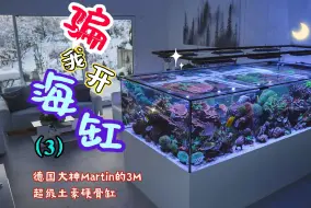 Download Video: 德国大神Martin的3米4500L超级硬骨缸，历时五年成型