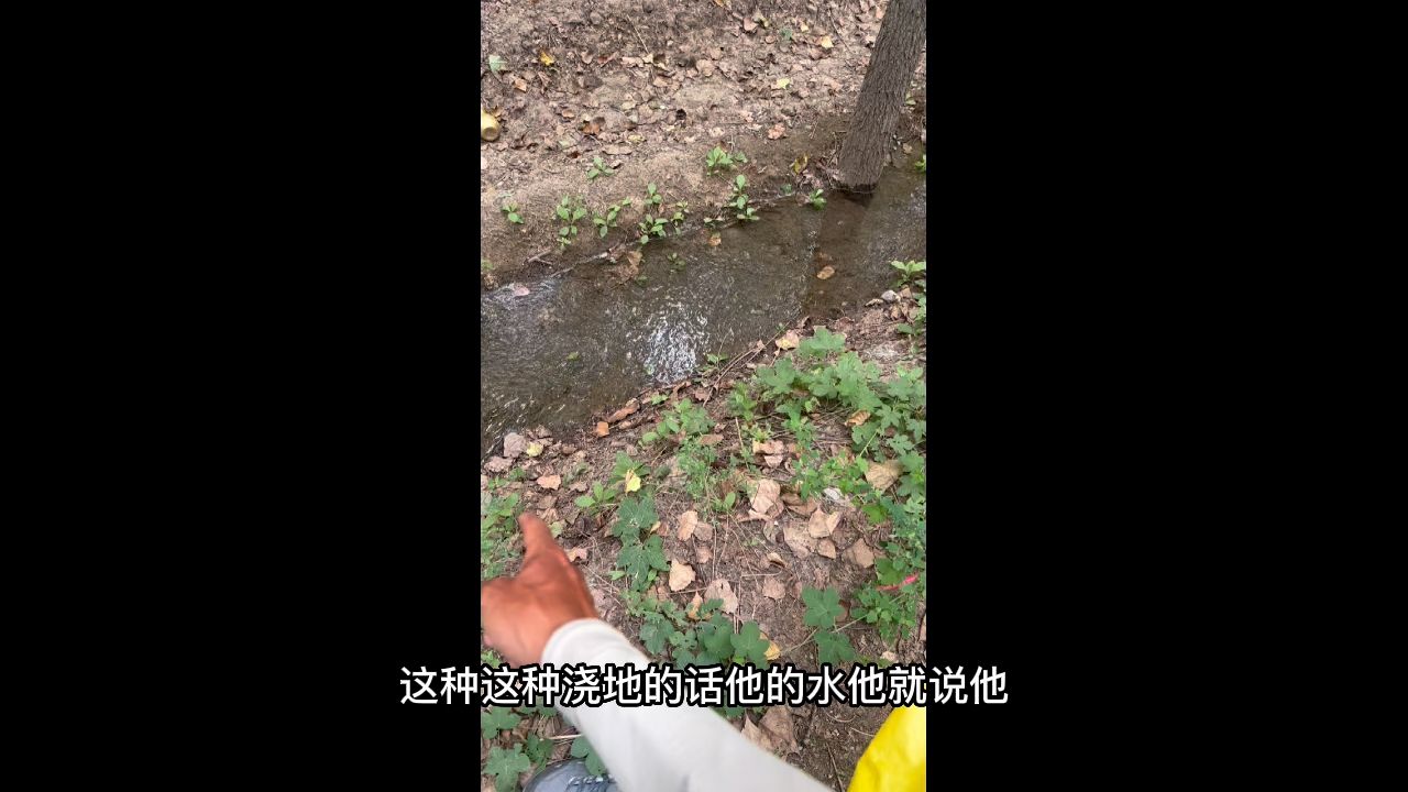 临汾到霍州,走村道总有新发现,养牛场,古建筑,娘娘庙哔哩哔哩bilibili