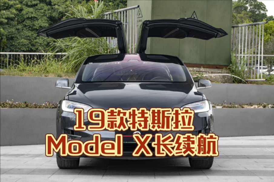 19款modelx长续航 20年1月上牌 选配冷光银金属漆 黑色内饰7座座椅