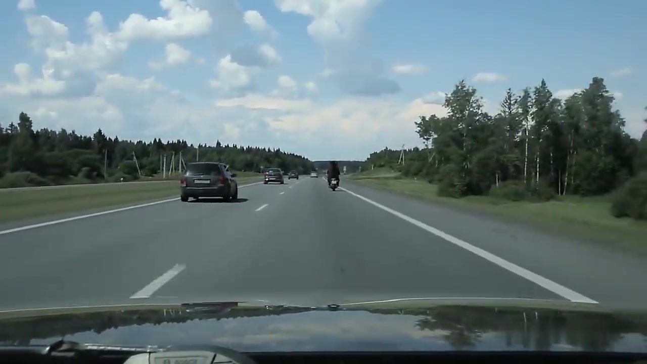 棕熊骑摩托车兜风.