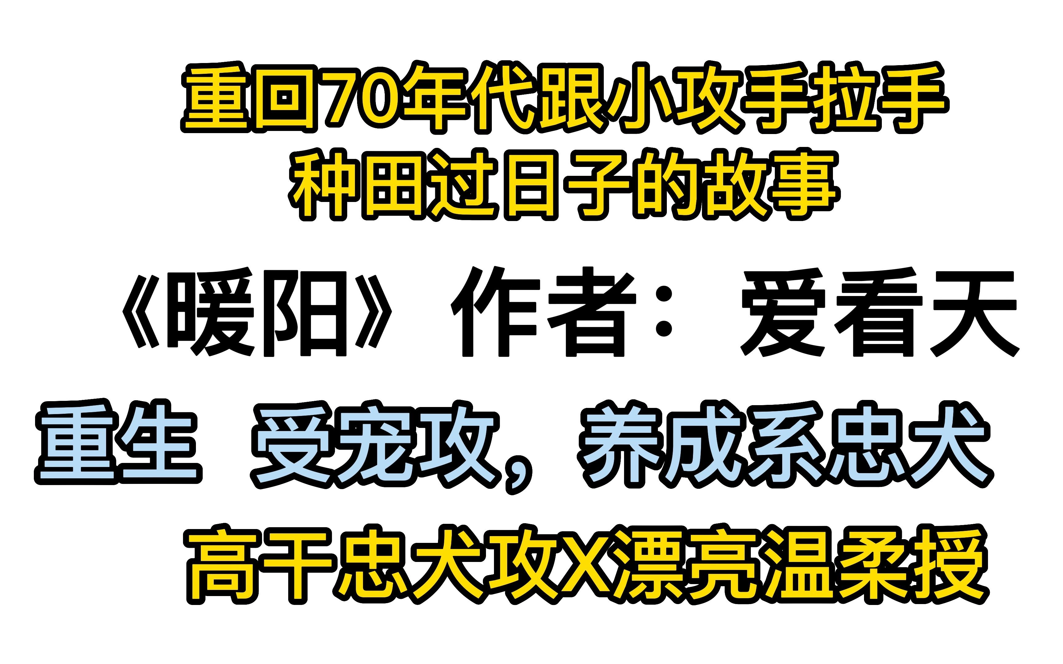 《暖阳》by爱看天,养成甜文,高干忠犬攻X漂亮温柔授.授重回70年代跟小攻手拉手种田过日子的故事哔哩哔哩bilibili