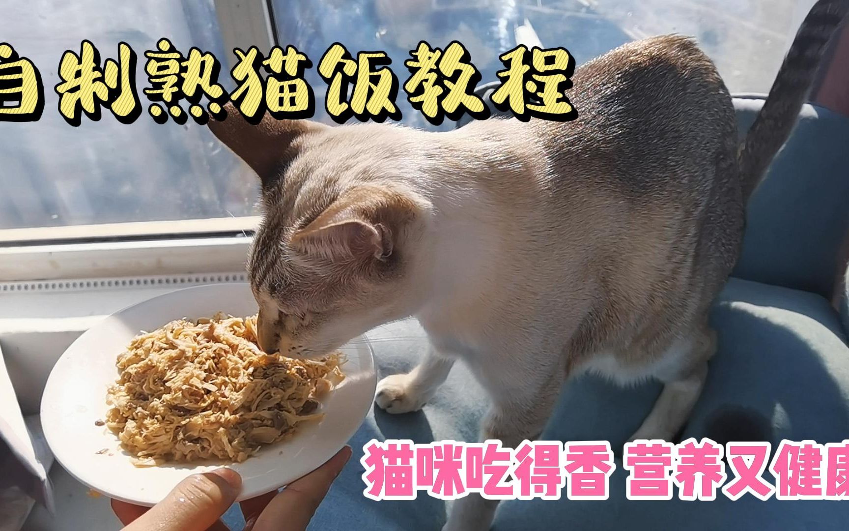 [图]【自制熟猫饭教程】猫咪吃得香，营养又健康