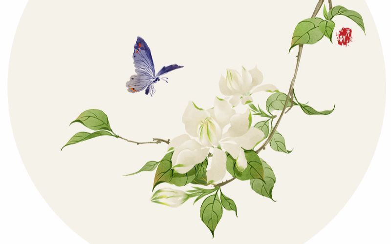 栀子花_绘画_生活_哔哩哔哩