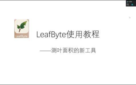 用LeafByte如何快速计算叶面积?哔哩哔哩bilibili