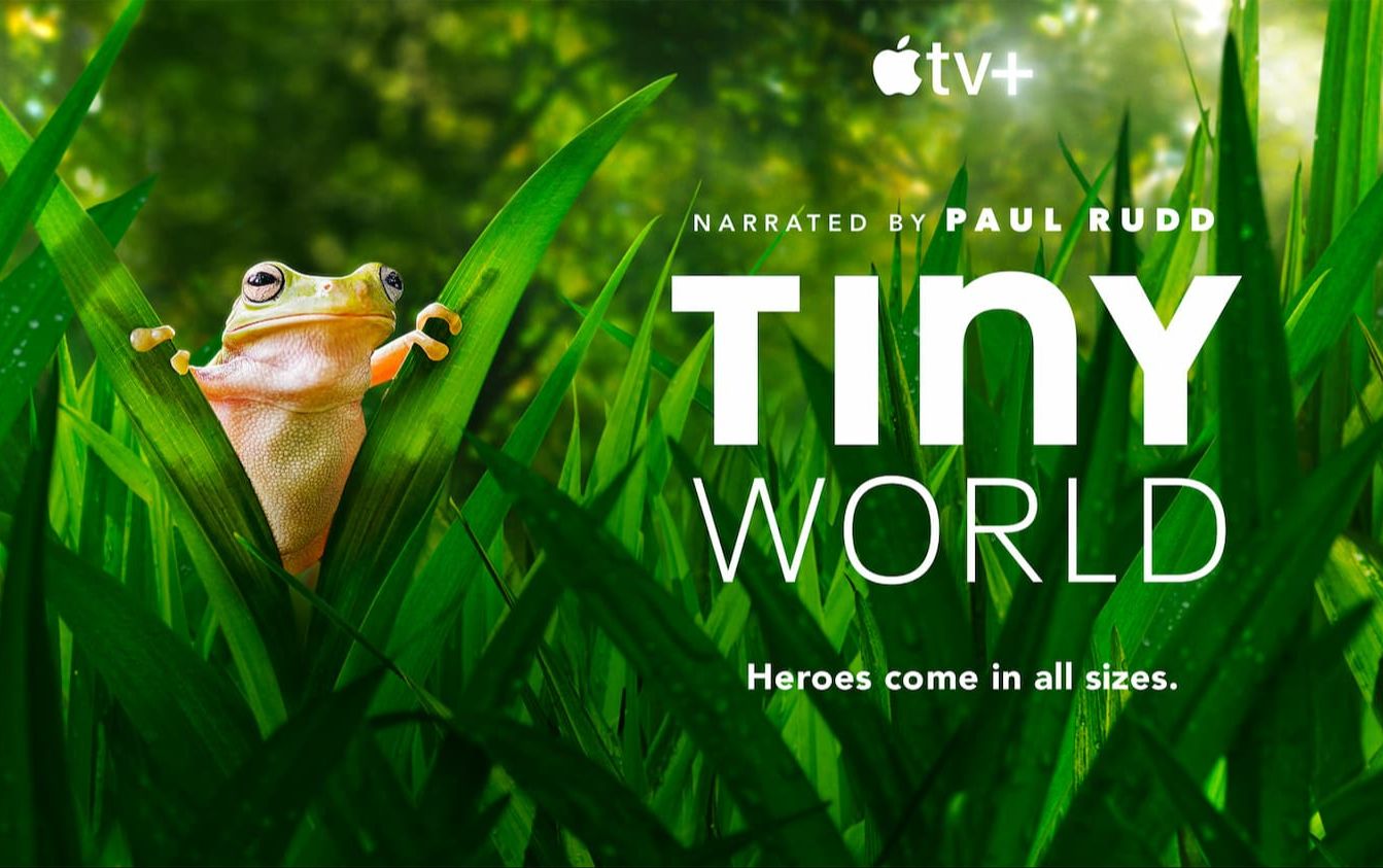 [图]《TinyWorld》小小世界|第二季|第三集|4k[HDR]纪录片