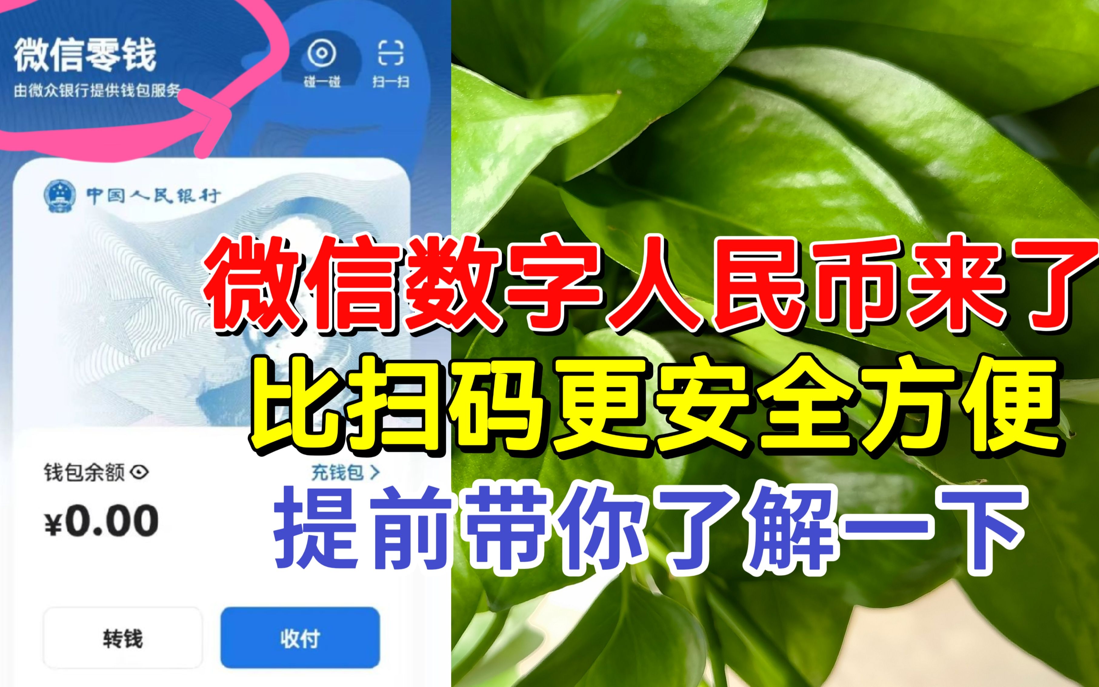 红包支付宝用什么扫码_支付宝用红包支付怎么使用_支付宝红包用不了