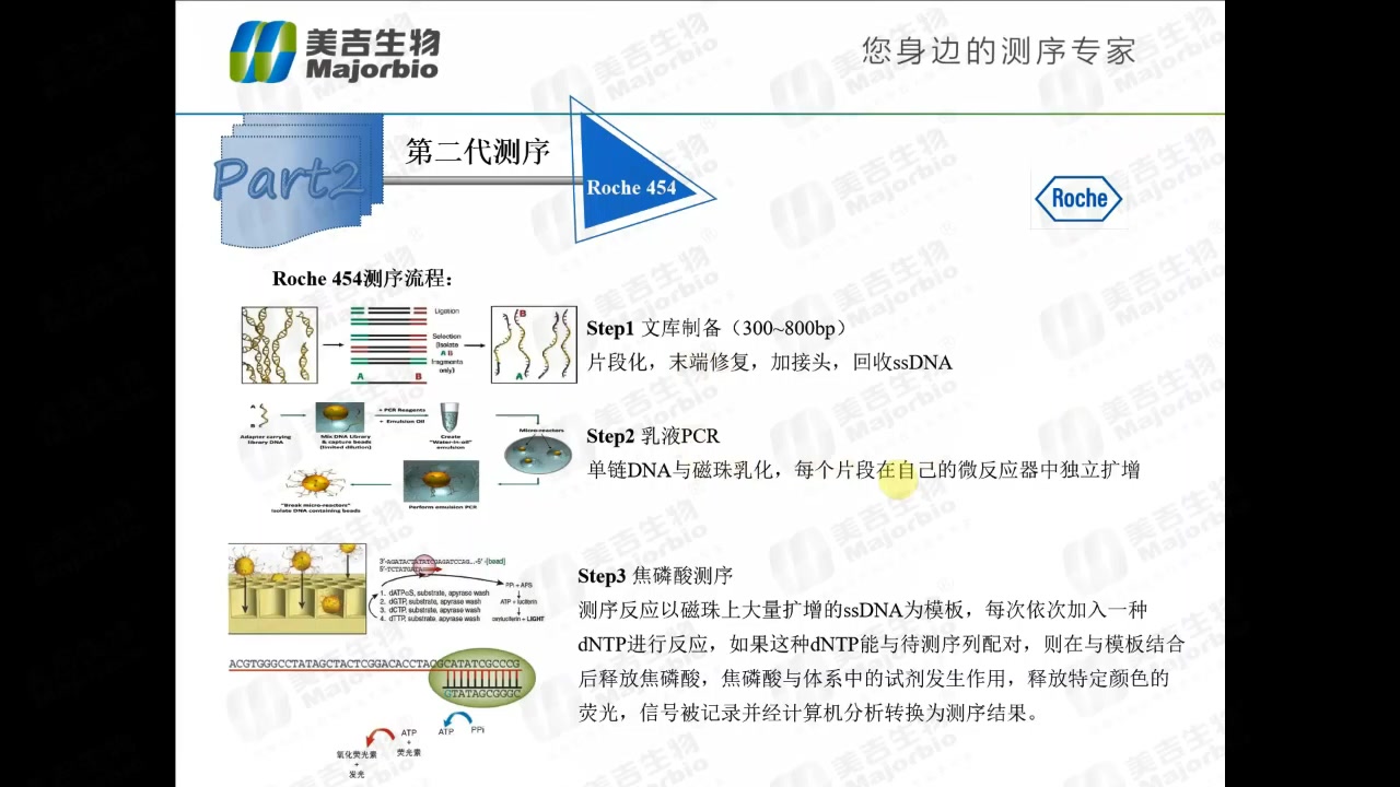 高通量测序技术发展及测序原理(下篇)  美吉云课堂哔哩哔哩bilibili