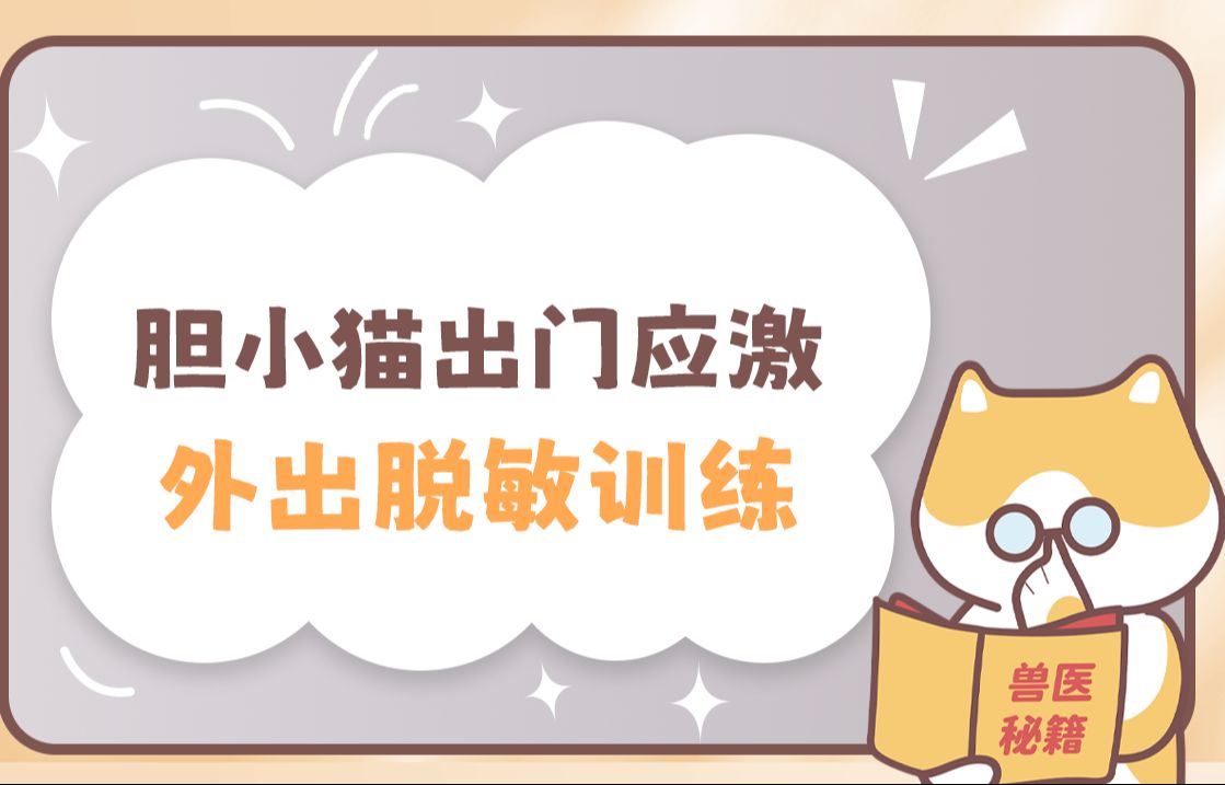 社恐小猫一出门就走不动道|猫咪外出脱敏训练哔哩哔哩bilibili