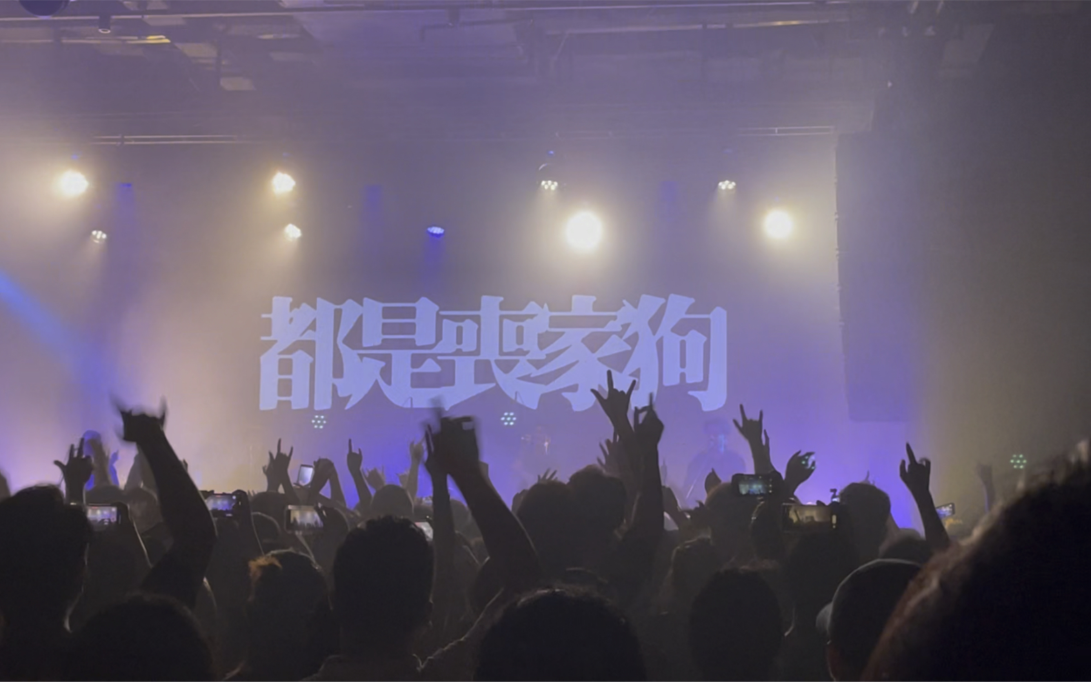 [图]2022.6.5杭州Mao livehouse·散人乐队《耗子》超嗨现场！“我的朋友都是丧家狗”【星巢现场·跳水冠军】