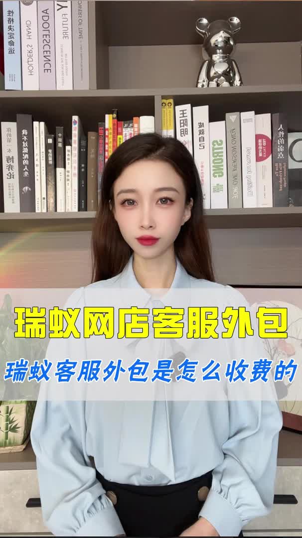 瑞蚁客服外包是怎么收费的哔哩哔哩bilibili