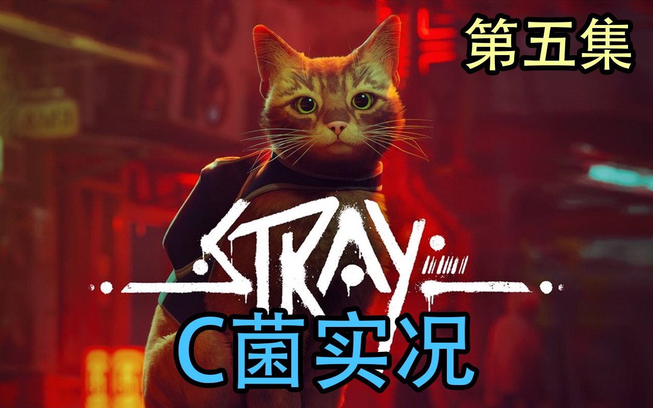 《Stray》第五集哔哩哔哩bilibili