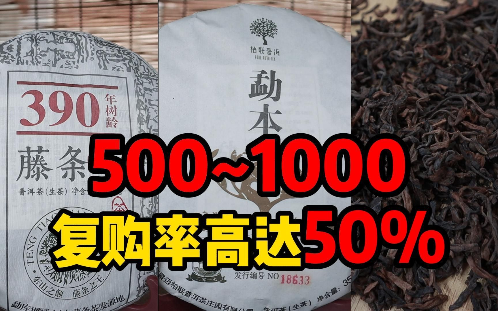 500~1000档,推荐3款性价比普洱茶,复购率高达50%哔哩哔哩bilibili