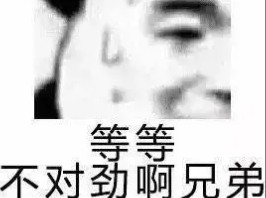 每日分享搞怪好玩的表情包哔哩哔哩bilibili