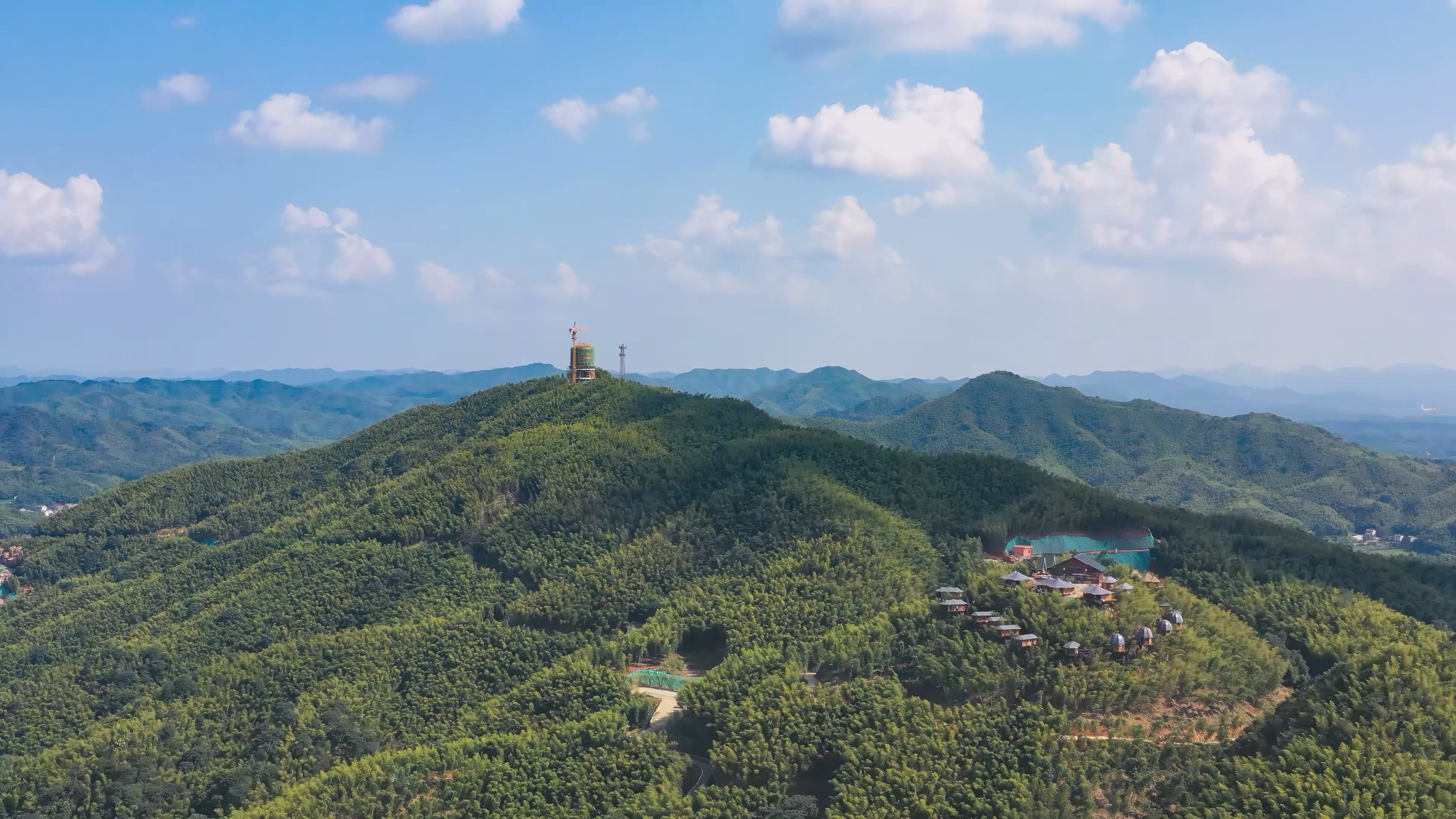 益阳桃花江竹海风景区图片